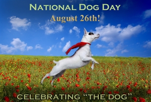 National Dog Day - Are you participating in National Bring Your Dog to Work Day?