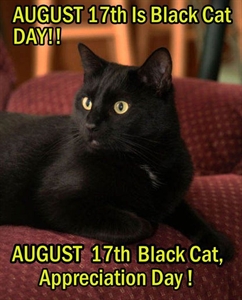 Black Cat Appreciation Day - Did you know August 17th is black cat appreciation day?