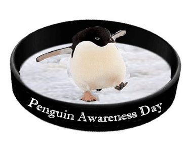 What did you do to celebrate Penguin Awareness Day?
