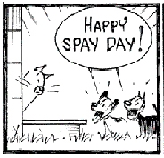 Spay Day USA - NOTICE: Today 227 is Spay-Day USA!!!?