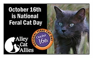 National Feral Cat Day - Does anyone know when national cat week is?