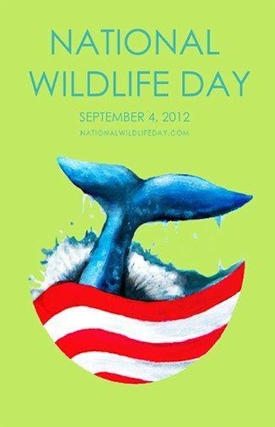 information of world wildlife day?