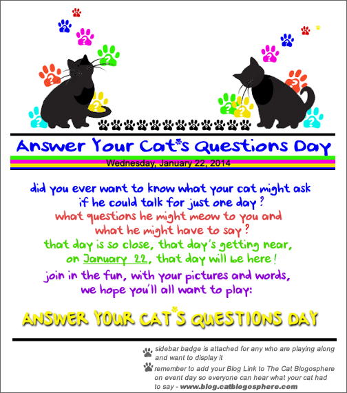 What is the history behind Answer your cat’s questions day? (january 22)?