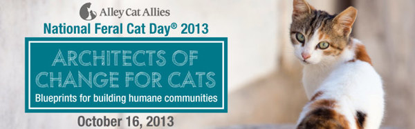 Chicago cat lovers~ National Feral Cat Day! Gather up the neighborhood strays =)?