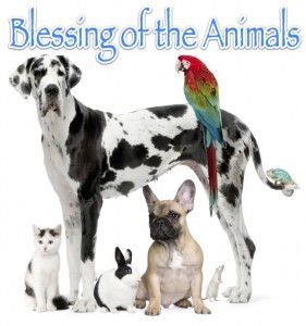 Blessing of The Animals Day - What do you understand the interaction between Animals & Humans to be?