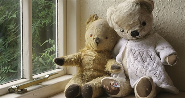 Bring Your Teddy Bear To Work & School Day