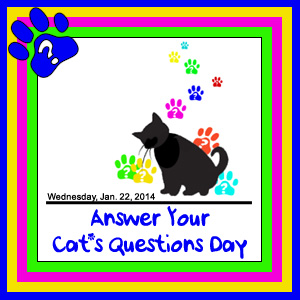 Poll/Survey: Did you remember Answer Your Cat’s Question Day?