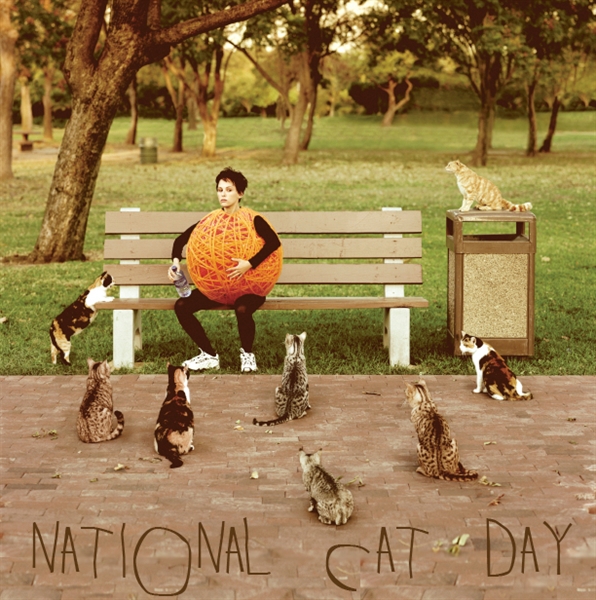 National Cat Day!! Cats! Cats!