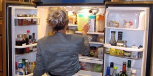 Clean Out Your Refrigerator Day - How to start cleaning the house?