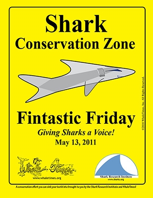 Fintastic Friday: Giving Sharks a Voice! - The Dorsal Fin – Shark News