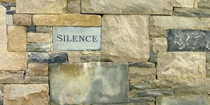 Day Of Silence - A day of silence?