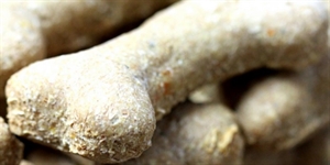 Dog Biscuit Day - dog biscuits?