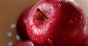 Eat A Red Apple Day - What are the benefits of eating 2 or 3 red apples almost every day?