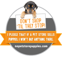 pet stores and puppy mills....?
