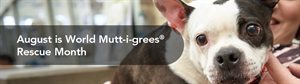 World Mutt-i-grees Rescue Month - August is World Mutt-i-grees®