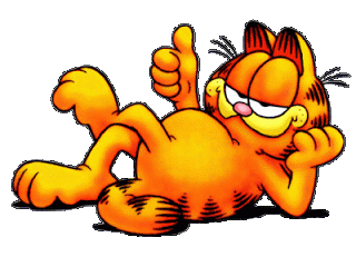 Which is a cooler cat, Garfield or Heathcliff?