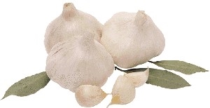 National Garlic Day - Have you tried garlic cloves or garlic pills to lower blood pressure?