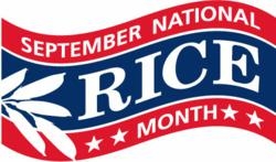 National Rice Month - report on a national food security bill?