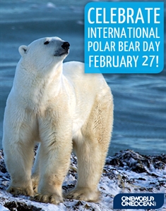 International Polar Bear Day - Other than science deniers, who really cares terribly about polar bears?