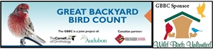 Great Backyard Bird Count - Anyone else planning on participating in the Great Backyard Bird Count?