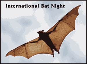 International Bat Night - HELP!! Bat problem in my house!!!?