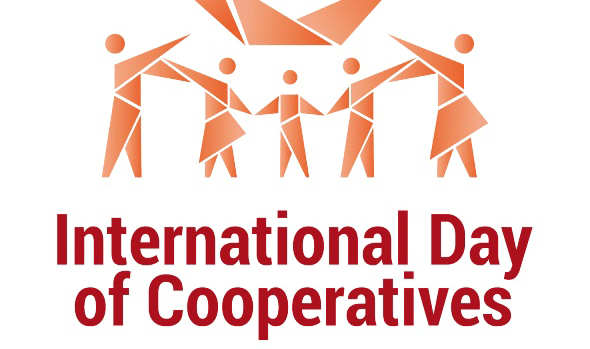 What role does co-operative play in poverty reduction?