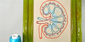 World Kidney Day - Today is World Kidney Day