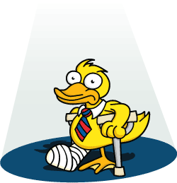 what is the definition of ’lame duck’ and how to use it properly?