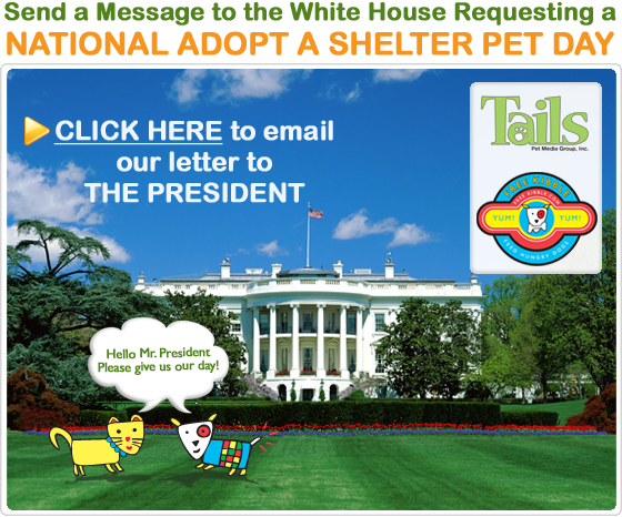 Would you feel comfortable adopting a dog or cat from a dirty pet shelter?