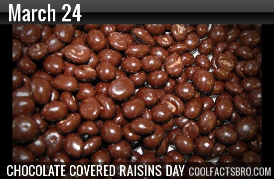 Chocolate covered raisins?
