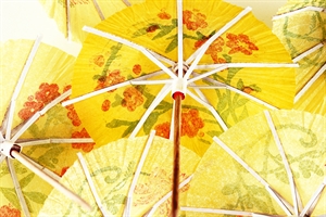 National Open An Umbrella Indoors Day - If you could declare a national holiday celebrating something, what would it be?