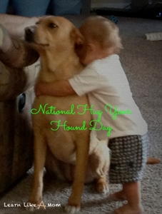 National Hug Your Hound Day - Hound Breeds and Dog Sports?