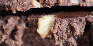 Nutty Fudge Day - when is chocolate day ?