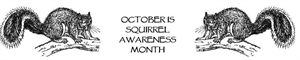 Squirrel Awareness Month - What holidays are in January?
