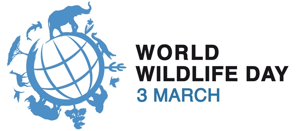 information of world wildlife day?
