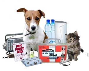 Pet First Aid Awareness Month - how do you become a registered Charity?