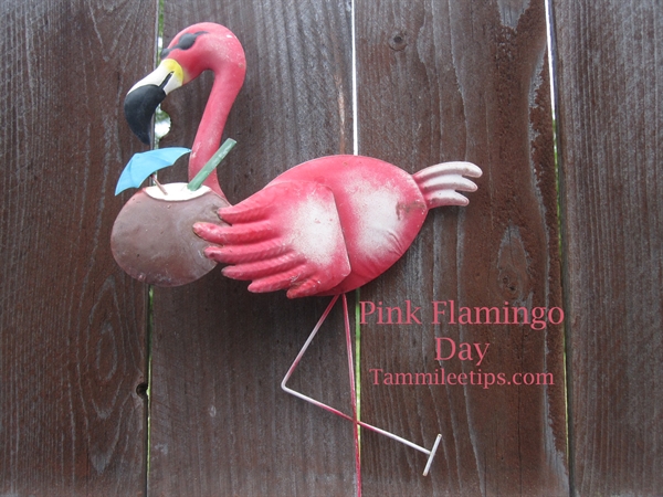 Is it too early to display my collection of pink flamingos in my yard?