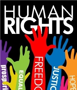 i want to do something on 10th dec at human rights day. what should i do?