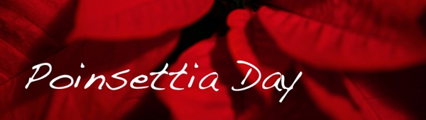 Happy Poinsettia Day!