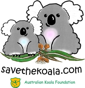 Save The Koala Day - koala behavior need help pleaseee?