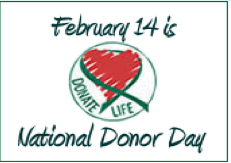 Will Nascar recognized national organ donor day during the Daytona races?