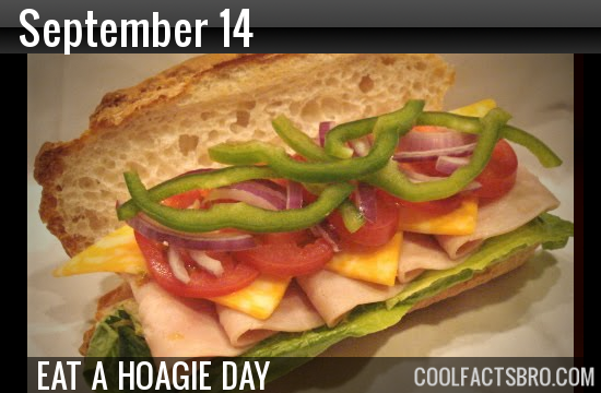 Can you eat a hoagie a day?