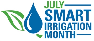 Smart Irrigation Month - Drip Irrigation. Does it really save water  money?