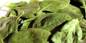 Spinach Day - Is it okay to eat spinach every day?
