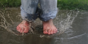 Step In A Puddle And Splash Your Friends Day - List of important days in january?