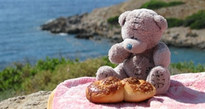 Teddy Bear Picnic Day - lyrics to teddy bear picnic?