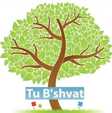 How is Tu B’shvat (15th day of Shvat) celebrated in Israel?