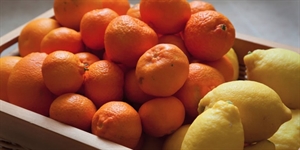 Vitamin C Day - Who drinks 1000mg vitamin C a day?