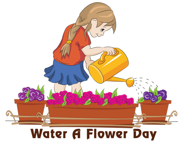 How many times do you water flowers a day?