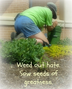 Sow The Seeds of Greatness Day - Reaping what you sow? Encouraging words and examples of this please?